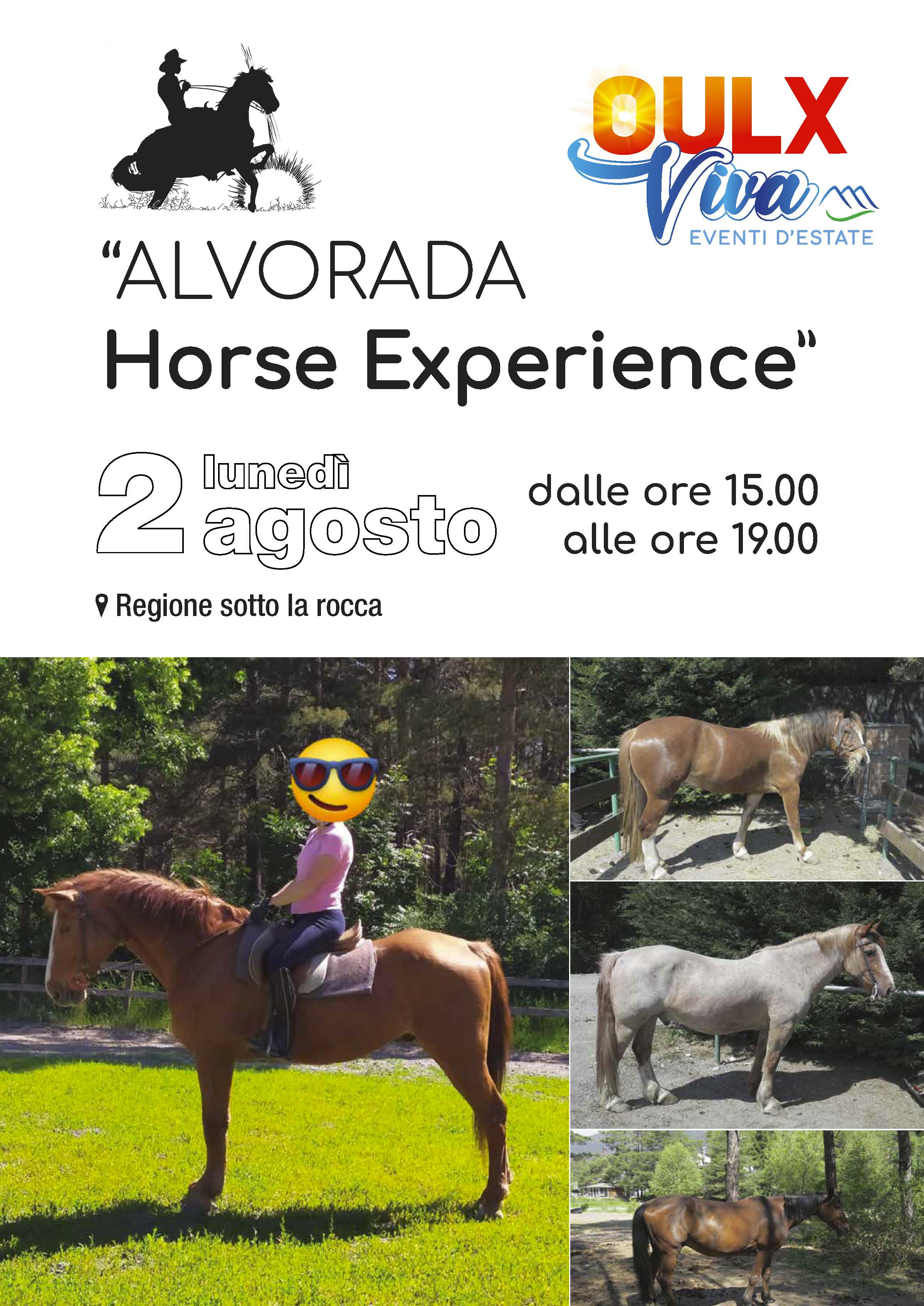 Alvorada horse experience